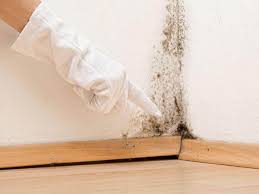 Best Basement Mold Removal  in Colonia, NJ